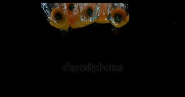 Sarı tatlı biber, capsicum annuum, siyah arka plan, yavaş hareket 4 k suya düşen sebze