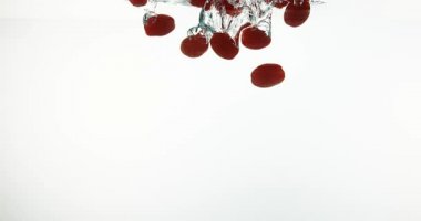 Kiraz domates, solanum lycopersicum, beyaz arka plan, yavaş hareket 4 k suya düşen meyve