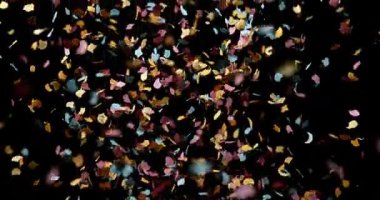 Siyah arka plan karşı yavaş hareket 4 k düşen Confettis