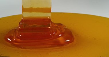 Bal akan yakın çekim