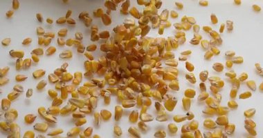 Beyaz karşı düşen Mısır 