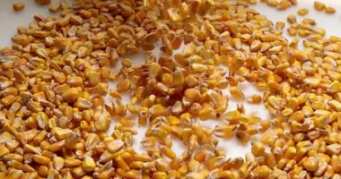 Beyaz karşı düşen Mısır 