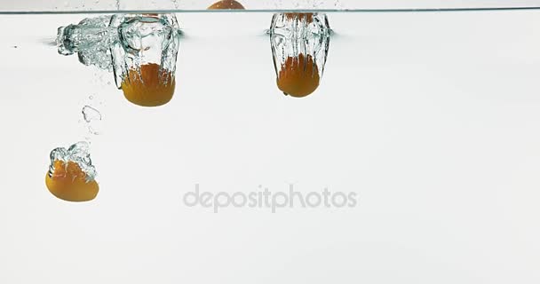Kumquat, fortunella margarita, Frutas cayendo en el agua contra el fondo blanco, cámara lenta 4K — Vídeos de Stock
