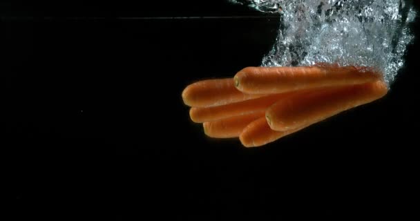Carrots Entering Water — Stock Video