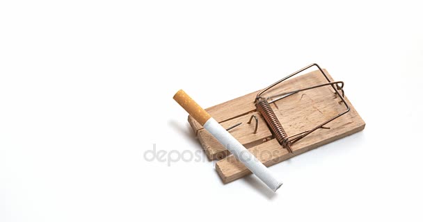 Muizenval breken sigaret tegen witte achtergrond, Slowmotion 4k — Stockvideo