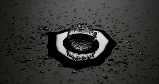 Drop of Water falling into Water, Slow motion 4K — Stock Video