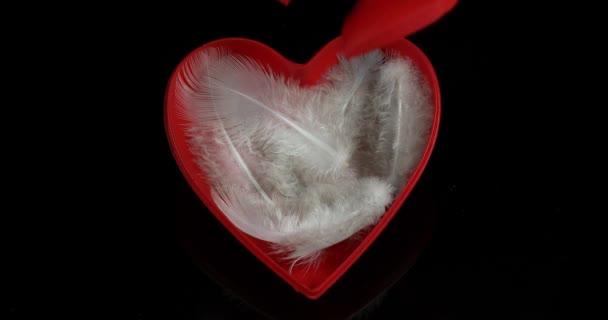 Coração vermelho e penas para o dia de São Valentim, câmera lenta 4K — Vídeo de Stock