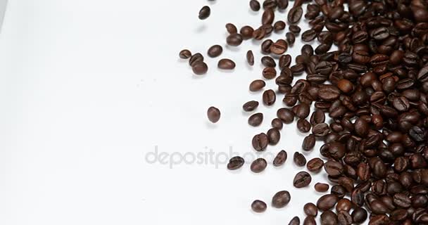Кава в зернах падіння на білому тлі, повільний рух 4 к — стокове відео