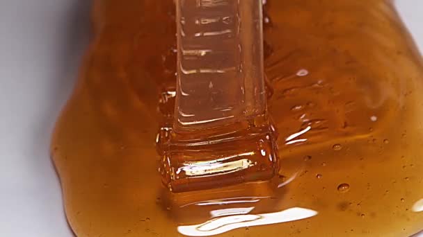 Μέλι που ρέει, αργή κίνηση — Αρχείο Βίντεο