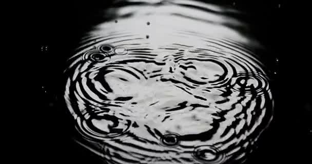 Kapka vody pádu do vody, úplněk, zpomalené 4k — Stock video