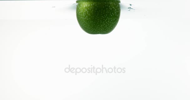 Avó Smith maçãs, malus domestica, frutas entrando água contra fundo branco, câmera lenta 4K — Vídeo de Stock