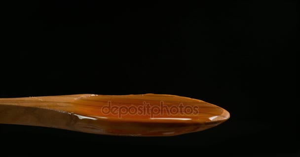 Almond falling in a spoon of Honey — Stock Video