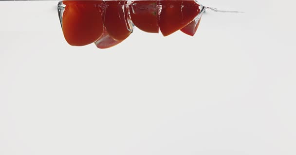 Red Tomatoes, solanum lycopersicum, Fruits falling into Water against White Background, Slow Motion — Stock Video