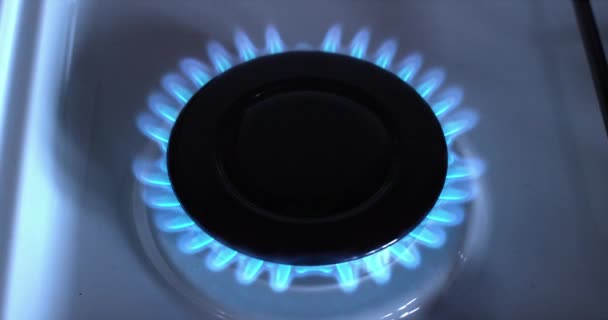 Queimador de fogão a gás — Vídeo de Stock
