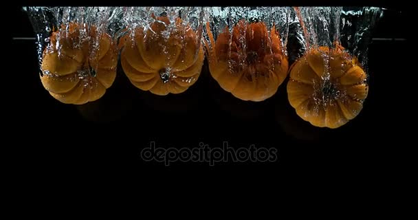 Zwergkürbis, Cucurbita pepo, ins Wasser fallende Früchte vor schwarzem Hintergrund, Zeitlupe 4k — Stockvideo