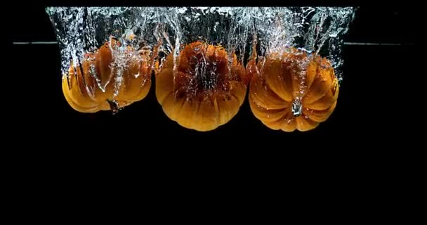 Zwergkürbis, Cucurbita pepo, ins Wasser fallende Früchte vor schwarzem Hintergrund, Zeitlupe 4k — Stockvideo