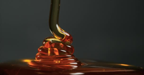 Fluxo de mel fresco — Vídeo de Stock