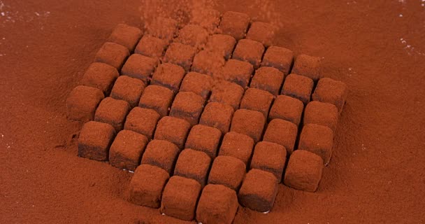 Chocolate en polvo cayendo sobre trufas de chocolate — Vídeos de Stock