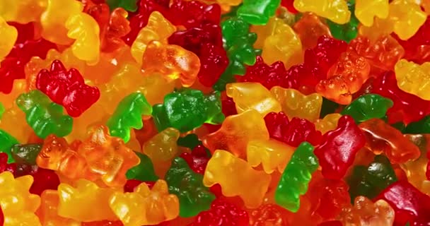 Gouden Beren of Gummy beren — Stockvideo