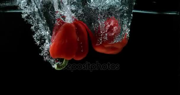 Roter Paprika, Paprika annuum, Gemüse fällt vor schwarzem Hintergrund ins Wasser, Zeitlupe 4k — Stockvideo