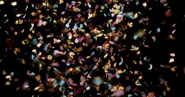 Confettis vallen tegen zwarte achtergrond, Slowmotion 4k — Stockvideo