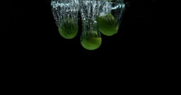 Limões verdes, citrus aurantifolia, frutas caindo na água contra fundo preto, câmera lenta 4K — Vídeo de Stock