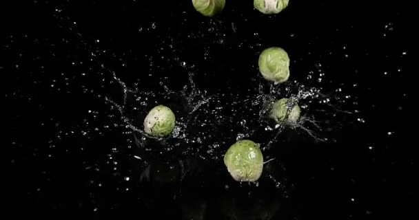 Coles de Bruselas, brassica oleracea, verdura que cae en el agua contra fondo negro, cámara lenta 4K — Vídeos de Stock