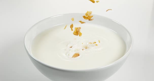 Cereales que caen en un tazón de leche — Vídeo de stock