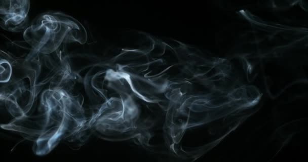 Humo de Cigarrillo subiendo — Vídeos de Stock