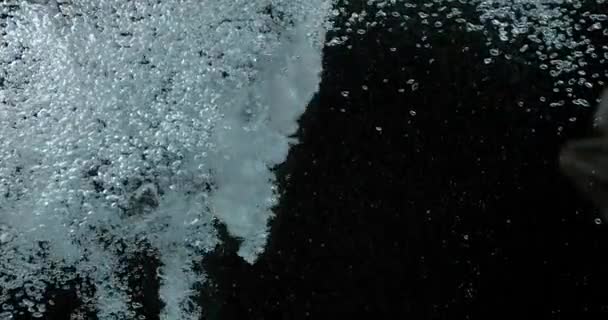 Luftbubblor i vattnet på svart bakgrund, Slow Motion 4k — Stockvideo