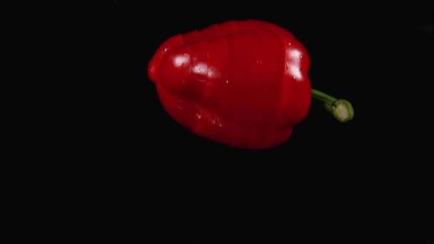 Roter Paprika — Stockvideo