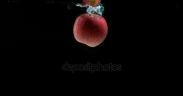 Manzanas, malus domestica, Frutas que entran en el agua contra el fondo negro, cámara lenta 4K — Vídeo de stock