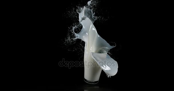 Verre pour le lait explosant sur fond noir, ralenti 4K 