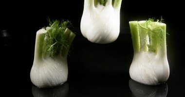 Rezene, foeniculum vulgare, siyah arka plan, yavaş hareket 4 k suya düşen sebze