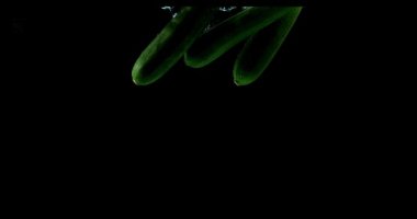 Uzun kabak veya kabak, cucurbita pepo, düşen suya karşı siyah arka plan, sebze yavaş hareket 4k