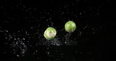 Brüksel lahanası, brassica oleracea, siyah arka plan, yavaş hareket 4 k suya düşen sebze