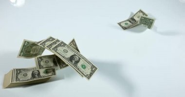 1 bize Doları banknot uçan 