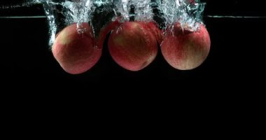 Elma, malus domestica, meyve su siyah arka plan, yavaş hareket 4 k girme