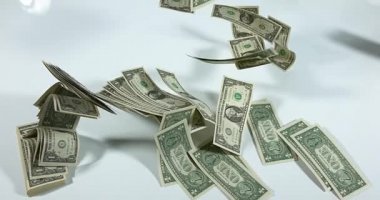 1 bize Doları banknot uçan 