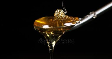 Kaşık siyah arka plan, yavaş hareket 4 k üzerinde akan bal