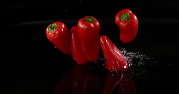 Rote Paprika, Paprika annuum, Gemüse fällt auf Wasser vor schwarzem Hintergrund, Zeitlupe 4k — Stockvideo
