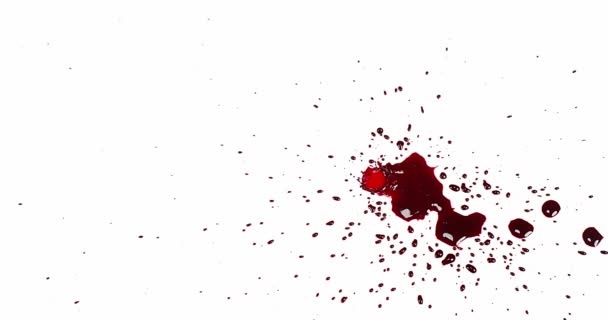 Sangue gocciolante contro il bianco — Video Stock