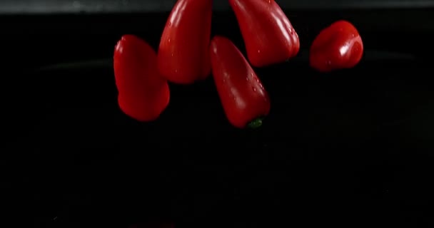 Röd paprika, capsicum annuum, vegetabilisk faller på vatten mot svart bakgrund, Slow motion 4k — Stockvideo