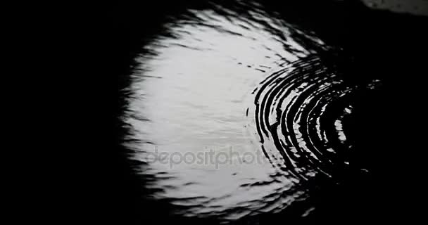 Luna llena reflejada en el agua, Normandía, cámara lenta 4K — Vídeos de Stock