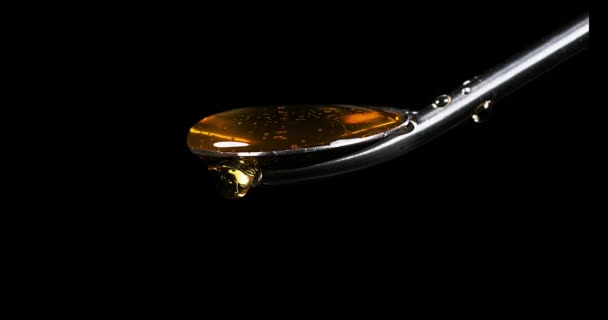 Μέλι που ρέει από το κουτάλι μαύρο φόντο, σε πραγματικό χρόνο 4k — Αρχείο Βίντεο
