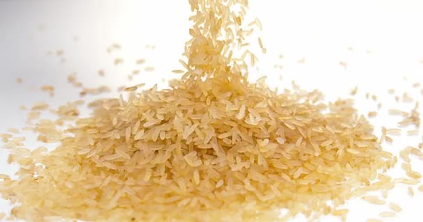 Ris som faller mot vit — Stockvideo