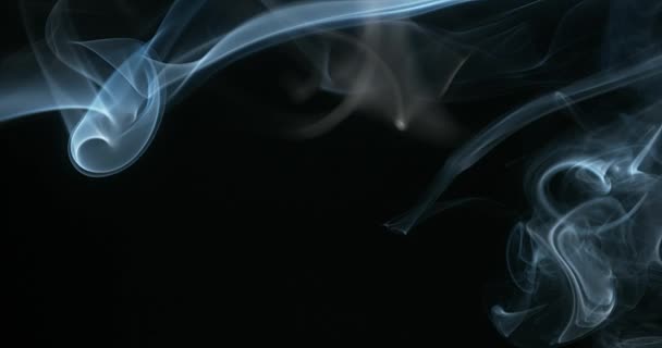 Humo de Cigarrillo subiendo — Vídeo de stock