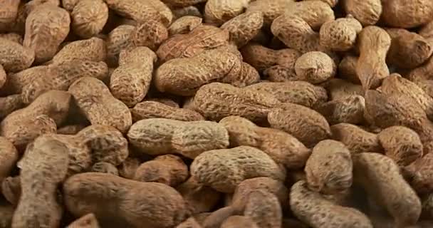 Cacahuetes, arachis hypogaea, Frutos girando, cámara lenta 4K — Vídeos de Stock