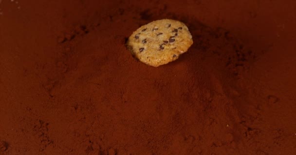 Cookie falla i svart pulver choklad — Stockvideo