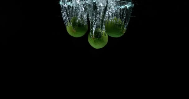 Groene citroenen, citrus aurantifolia, vruchten vallen in Water tegen zwarte achtergrond, Slowmotion 4k — Stockvideo